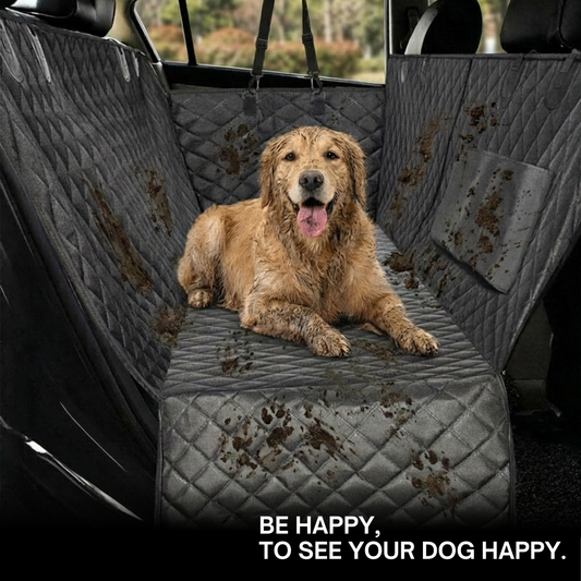 Car Backseat Protection