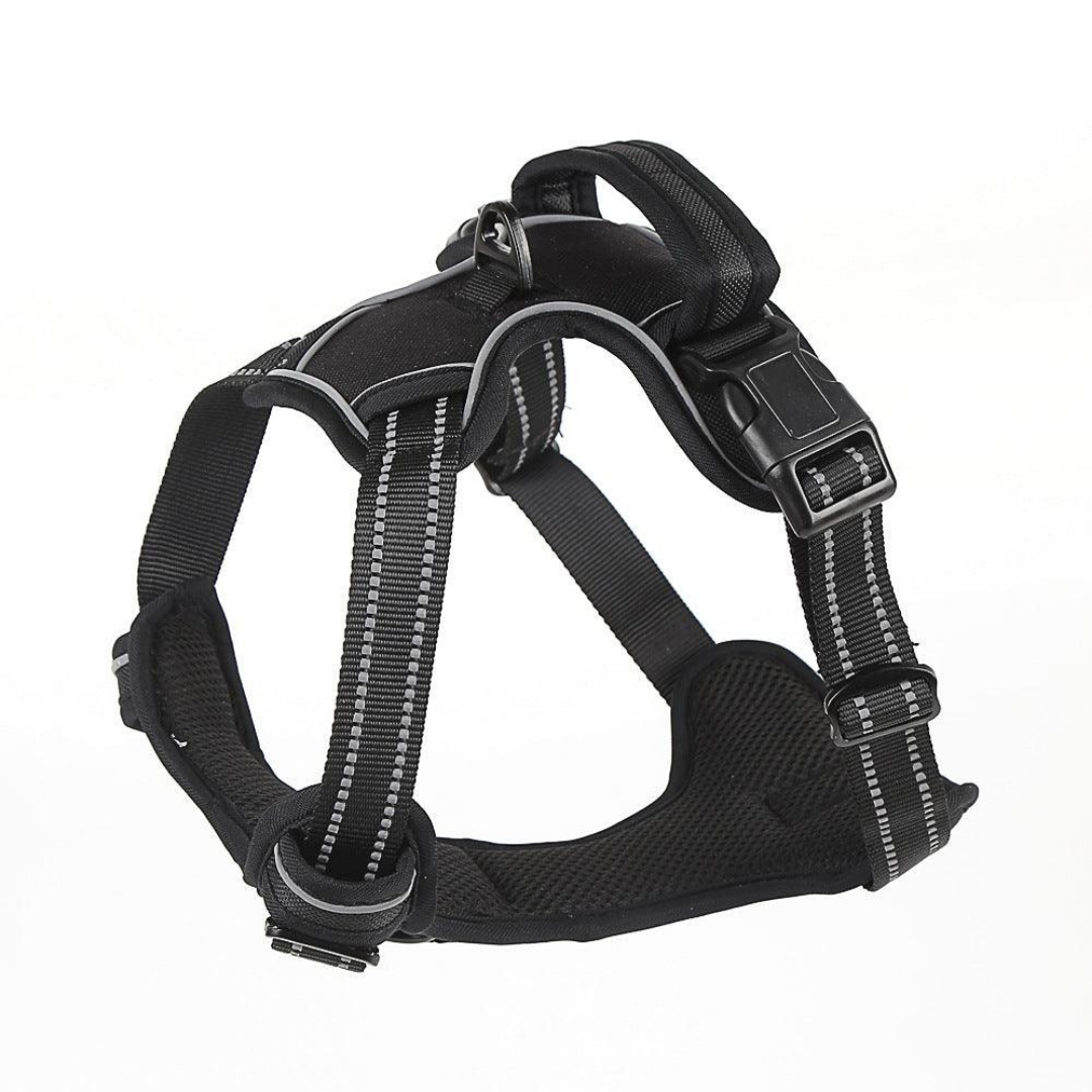 Anti-Pull Harness (12 - 105lbs)