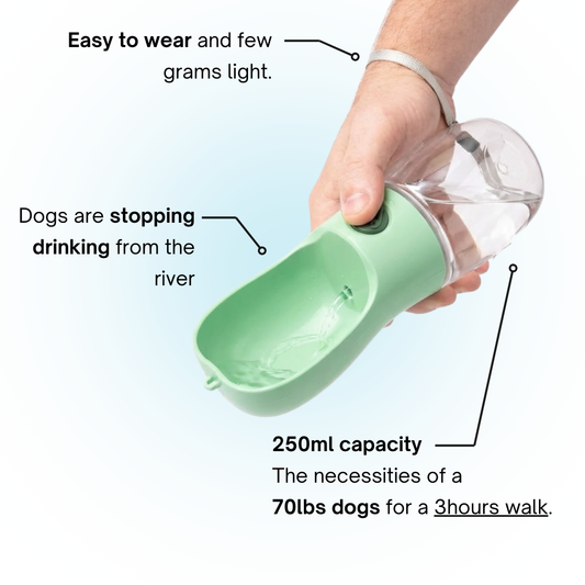 The Walks Feeder Water Bottle